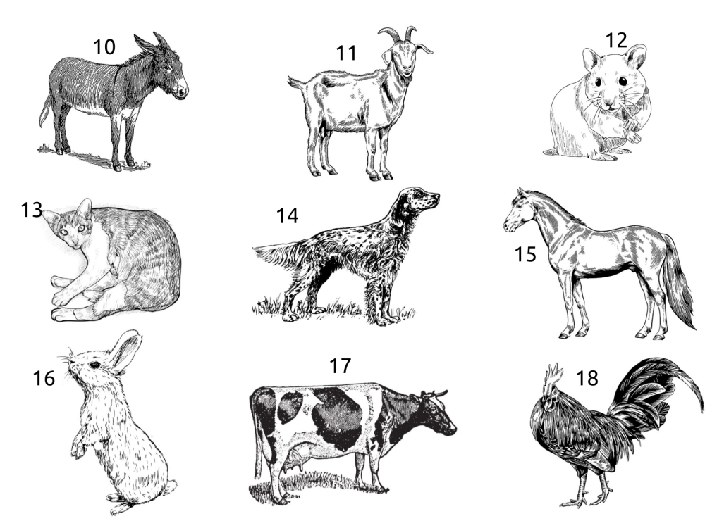 Dames hoodie, Zwart